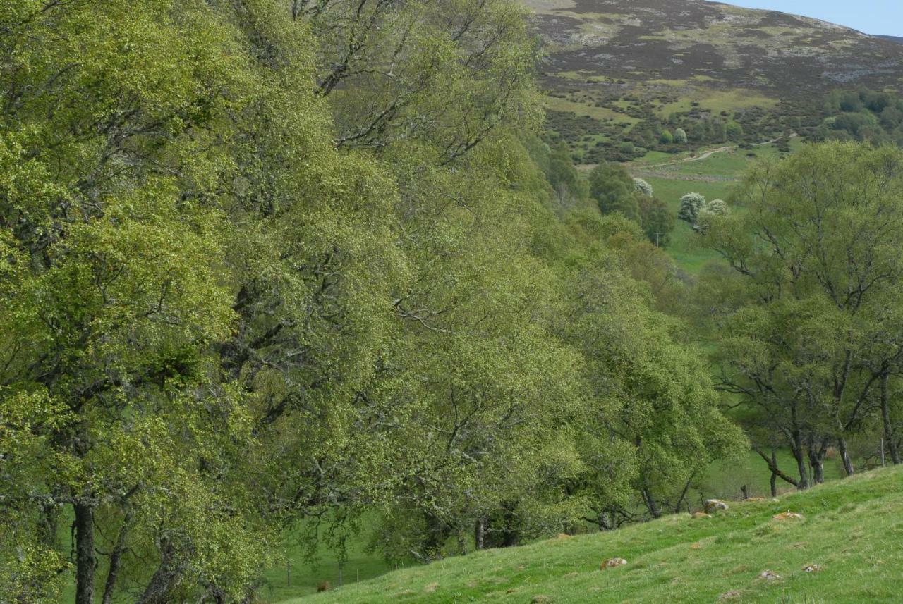 Howe Of Torbeg Ballater Eksteriør billede